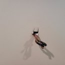 대성비디오 이미지