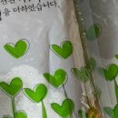 보리수한의원 네이버블로그