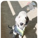 경희궁 바른 동물병원 이미지