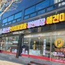 멍군애견 이미지