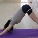 아란야 요가 이미지