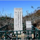 고하도 조선 육지면발상지비 | 고하도 조선 육지면 발상지비(목포시 문화유산 6호)