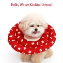 반려라이프 이미지