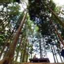 갈모봉산림욕장 이미지