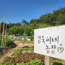 경숙농장 이미지