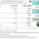 [ 하와이 코로나19 '주간' 방역상황 :: 2022년 7월 20일 발표 ] 신규.누적확진 / 평균 확진자.확진률 /사망률.사망자수.. 이미지