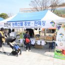 천안상록리조트 이미지