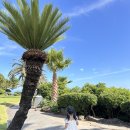 중문양옥 이미지