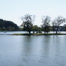 미네르바 이미지