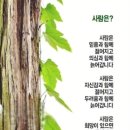 동내마을 이미지