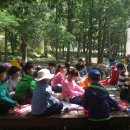 시전초등학교 이미지