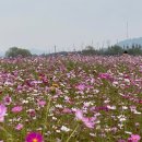 강매동 공중화장실 이미지