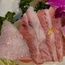 독도참치 이미지