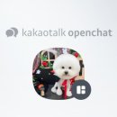 몽몽미용실 이미지