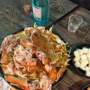 주주애견 이미지