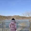 박두진 | 안성 아이와 걷기 좋은 곳, 금광호수 박두진 둘레길 산책 후기