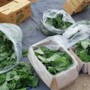 새벽시장 이미지