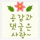 옥천동이로 | 옥천 시골막국수! 니들이 메밀을 알어!
