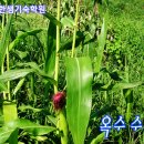 기숙농장 이미지