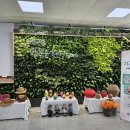 권선구청 이미지