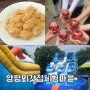 외갓집한식부페 | 양평외갓집체험마을 | 당일체험 6월 인절미 떡메치기 빙수 수박 우정여행 아이와 가볼만한 곳 가족여행