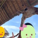 캥거루무에타이 | 태국 방콕 현지인과 여행 4편 -방콕 사파리월드 후기 마린파크 방문 꿀팁