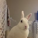 서울준동물병원 이미지