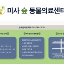 하남숲동물병원 | 편측대퇴골두 절단술 수술후기 [미사숲동물의료센터/ 미사동물병원/ 하남동물병원]
