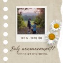 컨벤션센터예정부지~근생19예정부지 주변 | 임신 [24~28주차] 기록