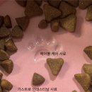 캣 팰리스 | [내돈내산] 소화기 고민 끝! 로얄캐닌 캣 가스트로인테스티널 &amp; 헤어볼 케어 솔직 리뷰 (수의사 추천)