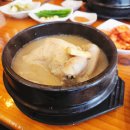 토속삼계탕 네이버블로그