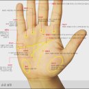 손금에 우리네 인생사가 다 담겨있네... 이미지