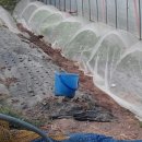 당골농장 이미지