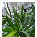 풍산빌딩 이미지