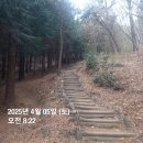 천주산 등산로변(천주암) | 천주산⛰️ 진달래 꽃이 피었습니다~🌸