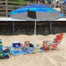 아름다운 애견 이미지