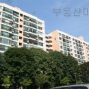 킴스서울외과 이미지