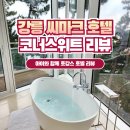 씨마 | 3층 코너스위트 숙박 리뷰★ 6개월 아기와 함께한 가족 여행, 객실 리뷰부터 조식·수영장까지 방문 후기!