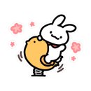 중앙초등학교병설유치원 이미지