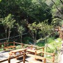 솔바람교 옹달샘 이미지