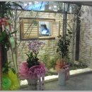 일신소아청소년과의원 이미지