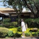 씨에스 호텔 앤 리조트 | 제주 서귀포 씨에스호텔 앤 리조트 로얄 스위트 숙박 &amp; 조식 후기｜제주 감성 독채 숙소 추천