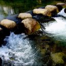 징검다리 이미지