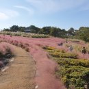 노을정원 이미지