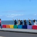 바글바글제주 이미지