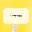 더라이프치과의원 이미지