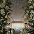 삼정투어 이미지