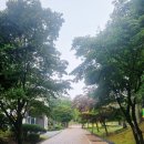 화도면사무소 | 기(氣)가 가장 센 산! 마니산 등산기