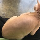 냐옹냐옹고양이카페 이미지