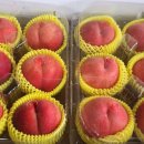 홍일농장 이미지